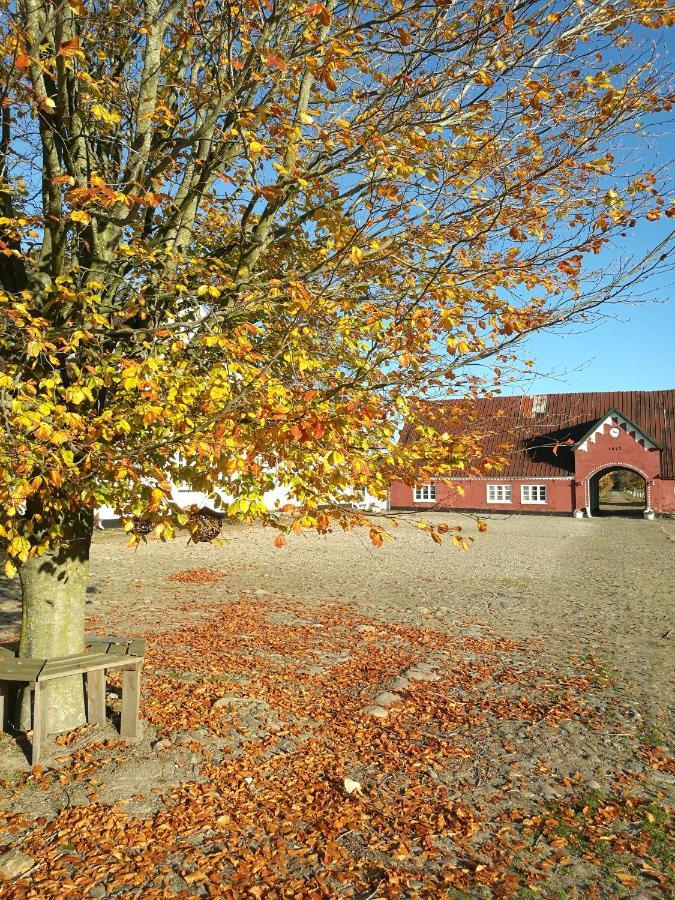 Holtegaard Bed&Breakfast Dronninglund Buitenkant foto
